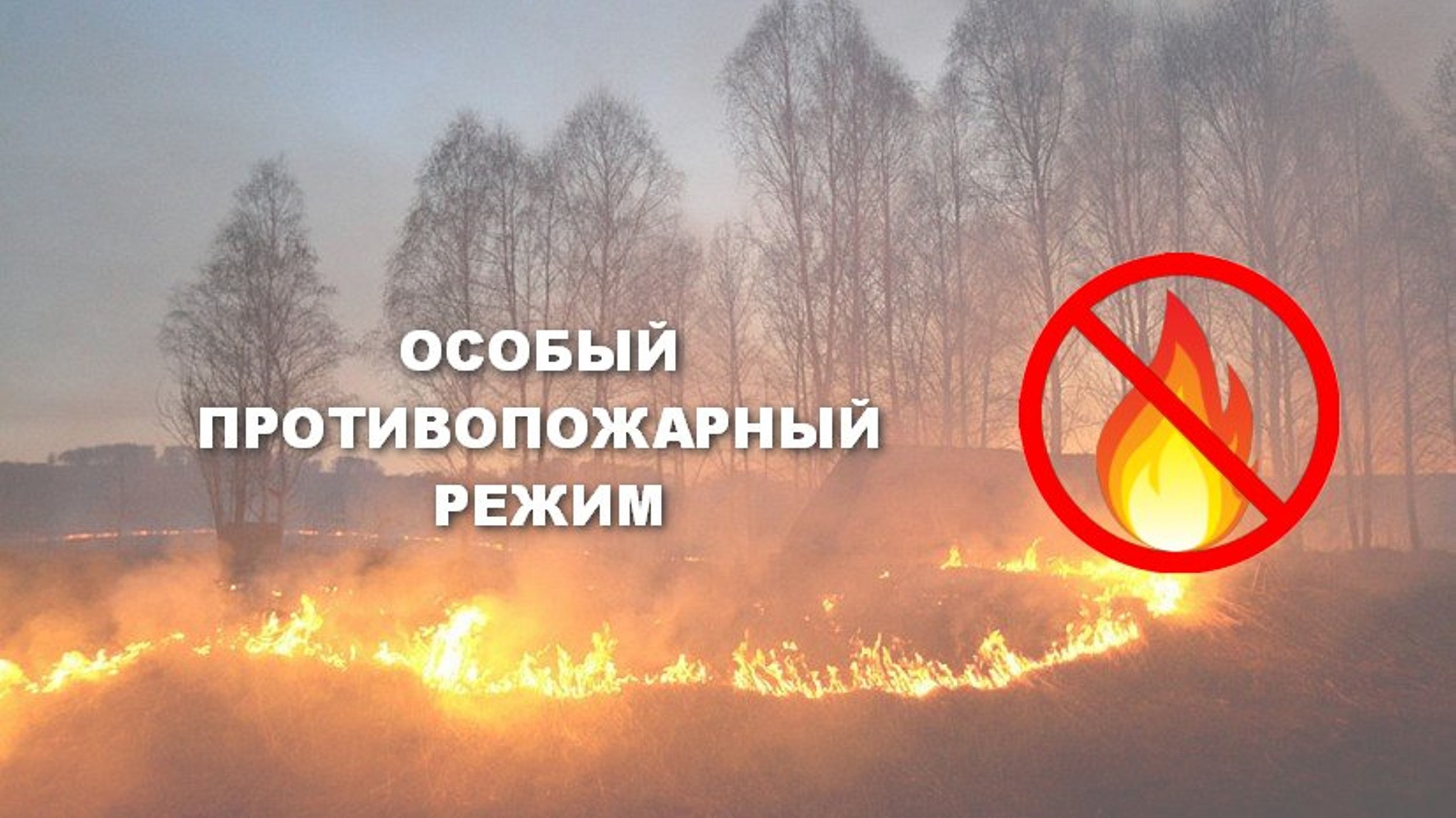 Особый противопожарный режим, за исключением земель лесного фонда, расположенных на территории Новгородской области.