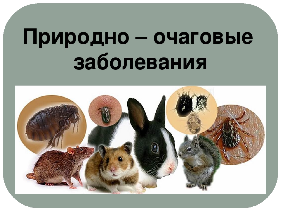 Памятка для населения.