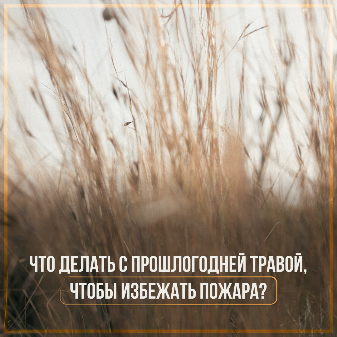 Новгородцам рассказали, что делать с прошлогодней травой, чтобы избежать пожароопасных ситуаций.