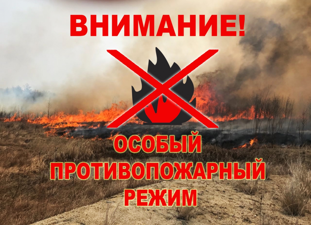 Александр Дронов подчеркнул важность соблюдения особого противопожарного режима в регионе.