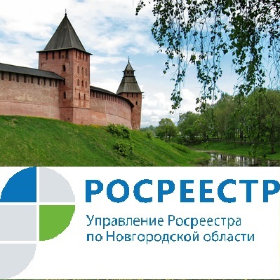 Филиал ППК «Роскадастр» по Новгородской области информирует о проведении горячей линии 30 мая 2024 года.