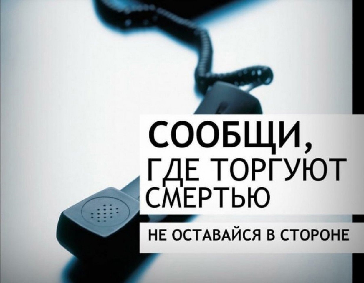 С 16 по 27 октября 2023 года в России проводится второй этап ежегодной Общероссийской акции «Сообщи, где торгуют смертью!».