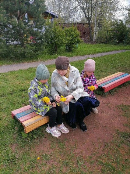 день одуванчика. день одуванчика.