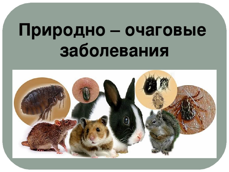 Памятка для населения. Памятка для населения.